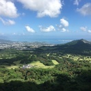 🌺フラダンス　東村山土曜日クラスお仲間募集中🌺の画像