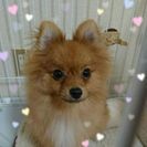 8ヶ月のとても甘えん坊さん