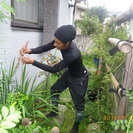 ネパールのヒマラヤから来た庭師です。お庭をきれいにしませんか。 - その他