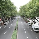 平日朝８時３０分ごろから「神宮前から渋谷駅まで」車で送っていただきたい