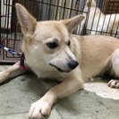本当にお願いします！