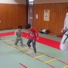 毎週土曜or日曜にテコンドーの画像