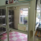 仔犬の世話　犬小屋の清掃　犬のシャンプー　　の画像