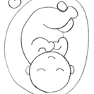 自然派ママが知っておきたい！ 元気な子産み・子育て＆もちよりランチ会