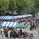 神奈川区民まつり　ゴスペルライブやるよ～♪の画像