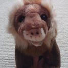 ぬいぐるセットの画像