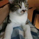 人が大好き！半年齢