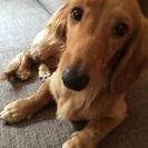 探しています！