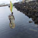 釣り仲間募集ー！！ヽ(*´▽)ノ♪ − 東京都