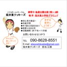 初心者でも大丈夫！一緒にソフトボールしましょう！ - 新潟市