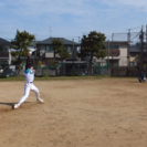 初心者でも大丈夫！一緒にソフトボールしましょう！ - スポーツ