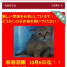 里親様決定しました！