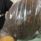スズメバチ、蜂駆除、害虫駆除の事ならなんでも 便利屋 役立屋 Tinker ティンカーまでご相談下さい - 白石市