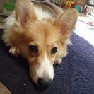 ぶっちのお友達募集です(*^^*) ①
