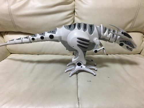 恐竜のラジコンです！