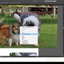 在宅でインターネットから代理店営業(出社なし)の画像