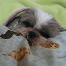 至急お願いします(>_<)