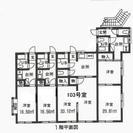 ★近隣スーパー店舗開店★大家直★初期費用激安★1ヵ月分込8.4万...