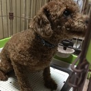 よろしくお願いします！