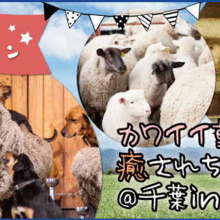 11/5(土)マザー牧場で大自然を満喫★カワイイ動物達にも癒され...