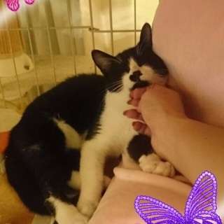 短足気味な姿も可愛い男の子(*^^*) − 大阪府