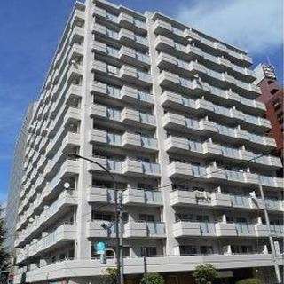 初期費用激安！品川区西五反田１Ｒマンション賃貸　都営浅草線 / 五反田駅 徒歩7分の画像
