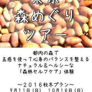 東京森めぐりツアーvol.7（木場公園）