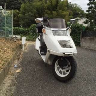 ホンダ フュージョン リアボックス付きの画像