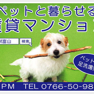 【 空いた時間にマイペースで♪ 『ポスティング･アルバイト』 (^^♪ 】の画像