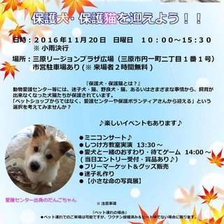 犬猫譲渡会「保護犬・保護猫を迎えよう！！」