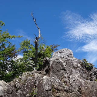 百名山企画【埼玉編】両神山1,723mへの旅の画像