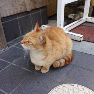 女性限定で友達募集