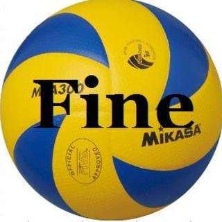 男女混合６人制バレーのメンバー募集「Team Fine（チームフ...
