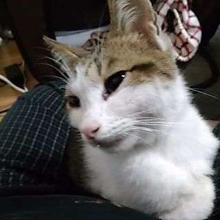 保護してます。