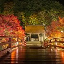 ￼11/12(土)日光紅葉ライトアップ￼ - 渋谷区