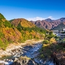 ￼11/12(土)日光紅葉ライトアップ￼ - 友達