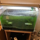 ADA水槽 LED照明 ライト ポンプ フィルターセットの画像