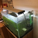 ADA水槽 LED照明 ライト ポンプ フィルターセットの画像