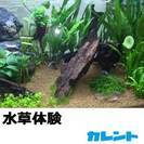 障がいのある方が心を込めて造った水草水槽が展示されています