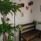 ☆時給950円☆ヘルパーさん募集☆7月オープンの花に囲まれた住宅で一緒に働きませんか☆の画像