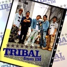 TRIBAL from IM 男性ダンサー募集