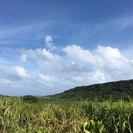 今ならまだ間に合う！！
