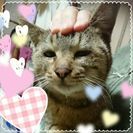 ありがとうございましたm(__)m