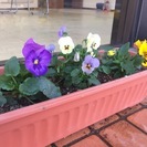 【障がいをお持ちの方】障がい者就労継続支援A型施設の利用者募集中☆の画像