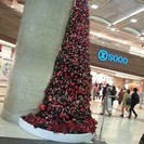クリスマスの夜を一緒に準備するメンバー募集します。
