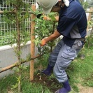 櫻井造園土木株式会社（横浜市旭区） - その他