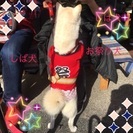 女性限定バツイチ会♪