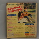 Young Song 1978年明星7月号付録の画像
