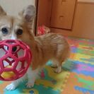 ぶっちのお友達募集です(*^^*) ②