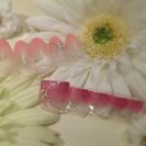 〔急募〕週２～OK！時給1,040円～武蔵小杉駅直結のネイルサロンで働く♪ネイリスト募集（アルバイト）の画像